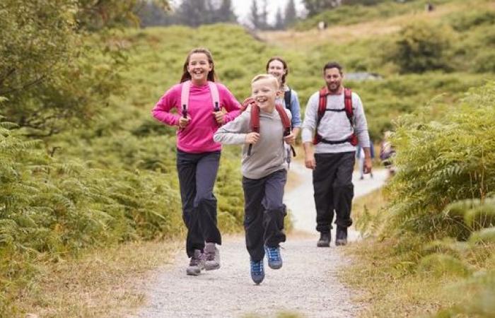 Morbihan. Découvrez le programme du Téléthon 2024