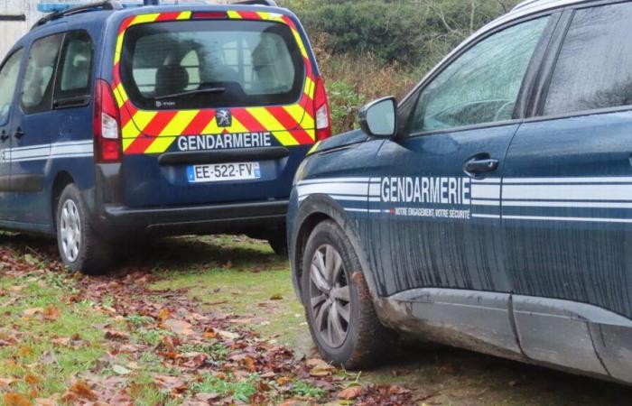 Trois enfants retrouvés morts en Haute-Savoie, leur mère recherchée