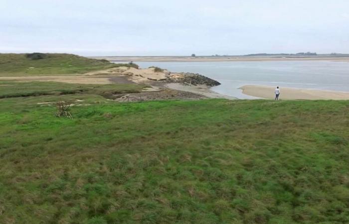 Dans la Manche, un agriculteur et sa femme deviennent les premiers déplacés climatiques du département