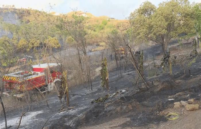 vingt hectares brûlés à Païta