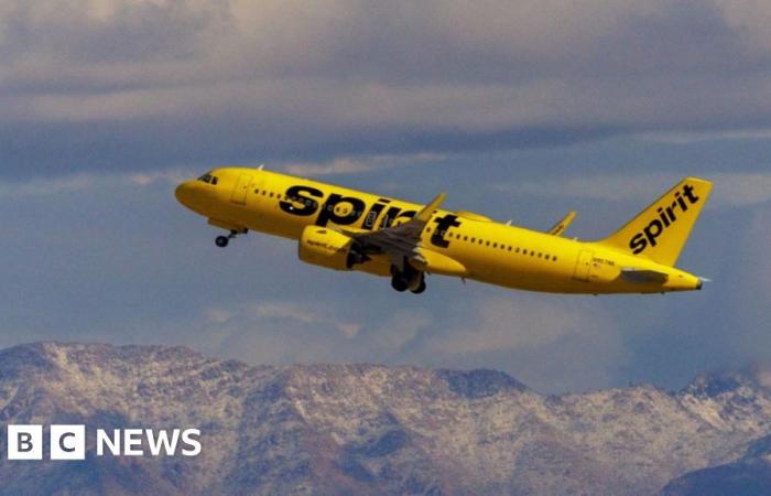 Les compagnies aériennes suspendent leurs vols alors que l’avion Spirit est touché par des tirs