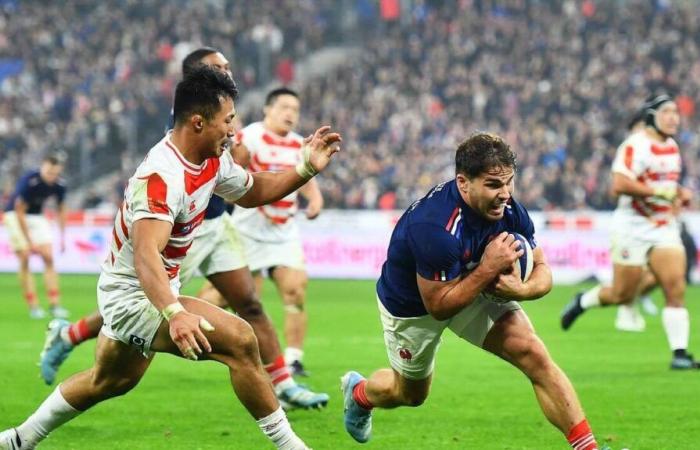 Nouvelle-Zélande. Antoine Dupont épargné de l’entraînement, Uini Atonio forfait