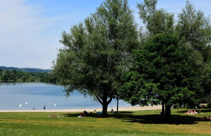 Des commerçants mobilisés pour sauver un lac qui se vide visiblement