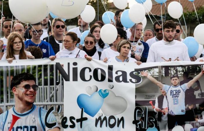 « A ce stade, il ne s’agit pas de DZ Mafia »