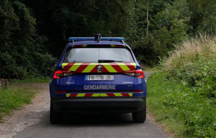 En Haute-Savoie, trois enfants retrouvés morts, un important dispositif de recherche déployé