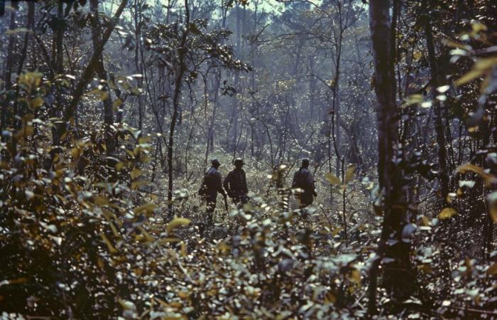 un suspect arrêté après la découverte de son corps dans la forêt