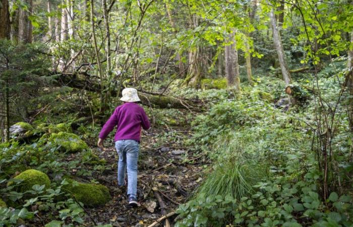 Un rapport met en garde contre l’émergence d’une génération d’enfants coupés de la nature