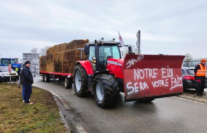 Les agriculteurs de l’Oise manifesteront lundi 18 novembre à Beauvais