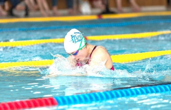 Championnat de Dordogne Natation Automne-Hiver 2024 à Bergerac