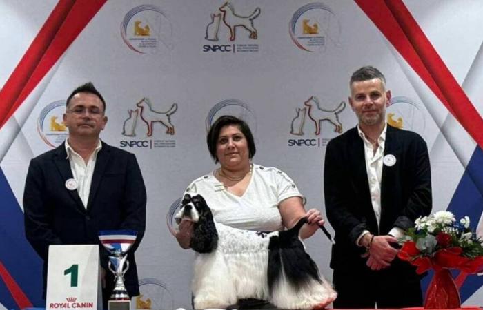 À Challans, un toiletteur canin « champion de France pro »