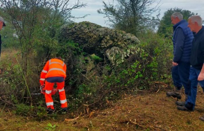 deux dolmens d’Artron mis au jour