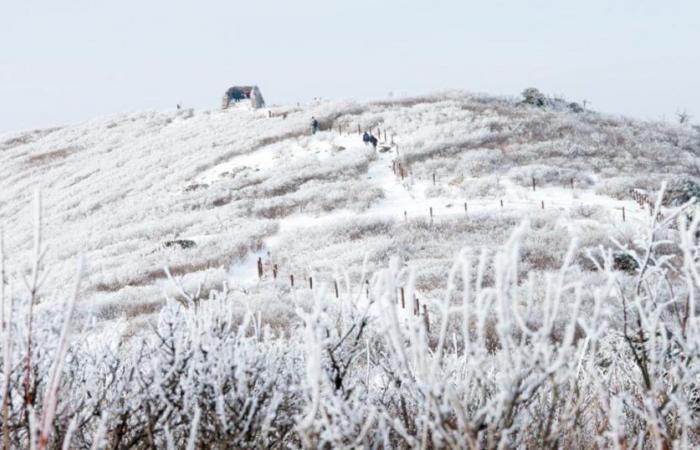 Ambiance hivernale, où fera-t-il le plus froid cette semaine ?