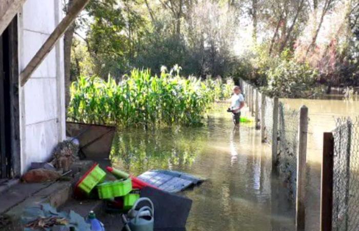 après les inondations, le ras-le-bol de ces jardiniers, qui demandent 30 000 euros de dédommagement