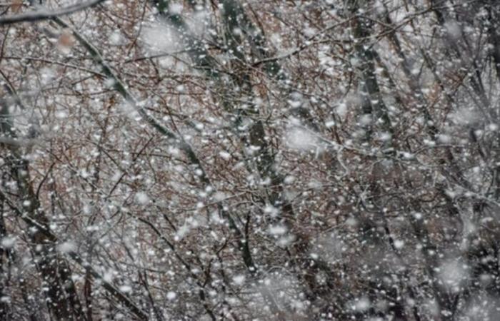 Retour de la neige en montagne la semaine prochaine : à quoi s’attendre ?