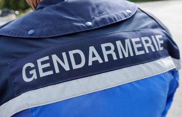 Trois enfants retrouvés morts dans une maison, leur mère recherchée