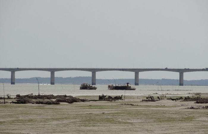 vers la fin de l’accès gratuit au pont d’Oléron ?