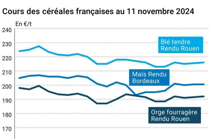 Céréales – Baisse assez forte des prix du blé sur le marché à terme de Chicago