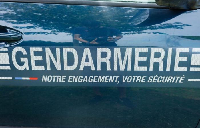 Un individu interpellé alors qu’il cambriolait la voiture d’un député RN