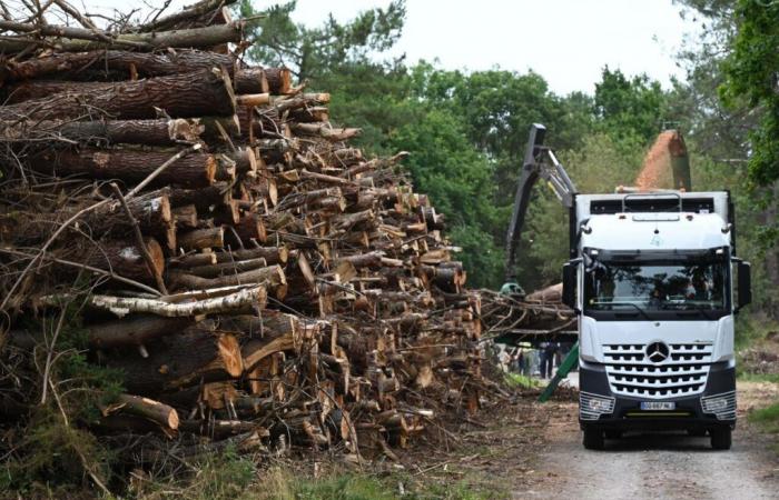 Tempête Ciarán. Quelles aides financières dans la Manche ?