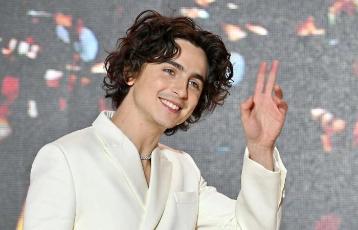 Timothée Chalamet avoue avoir été victime de « body shaming » au début de sa carrière