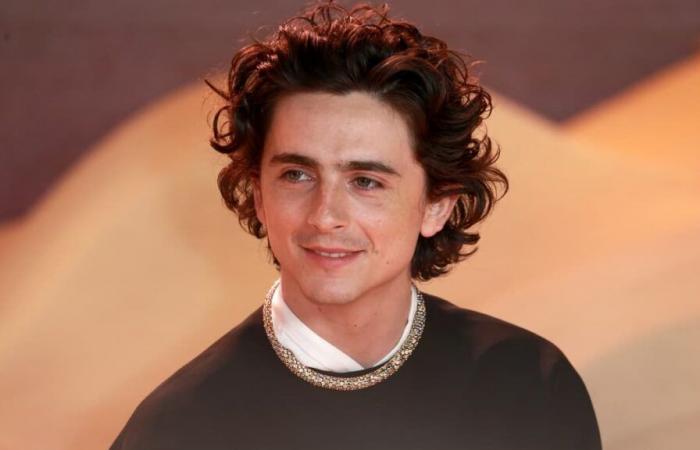 Timothée Chalamet admet avoir été victime de « body shaming »