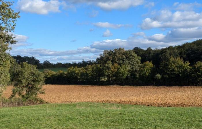 Crise agricole. Une vingtaine d’agriculteurs vident leurs sacs devant un sénateur du Lot