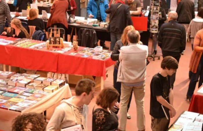 Festival du livre à la bibliothèque Langlois de l’UT