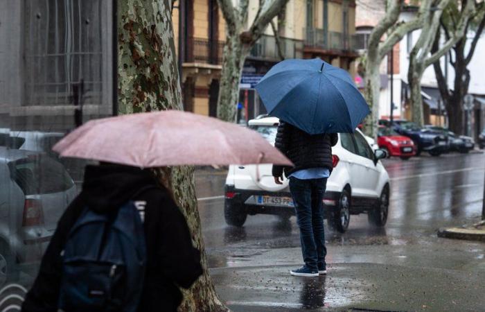 la pluie fait son grand retour dans les Pyrénées-Orientales ce mercredi 13 novembre