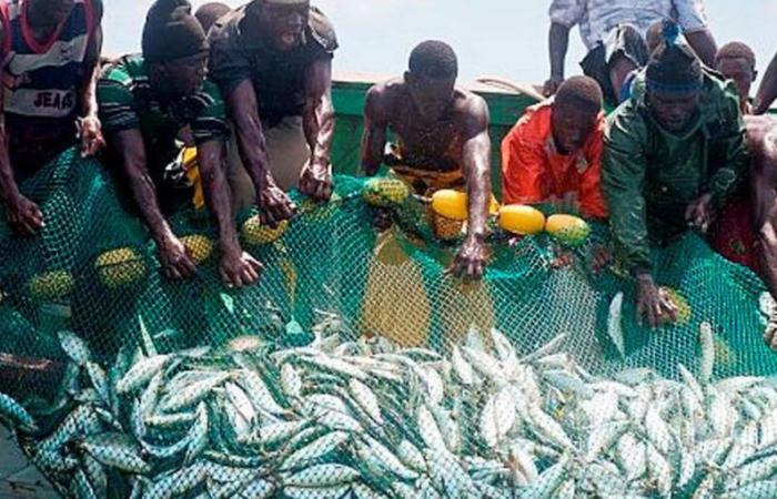 FIN DES ACCORDS DE PÊCHE UE-SÉNÉGAL UN OUF DE SOULAGEMENT