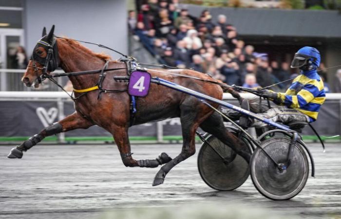 Belle opportunité pour Logan Jiel