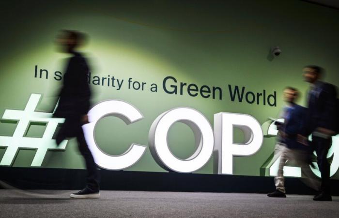 Quel climat sous Trump ? Les dirigeants mondiaux réagissent à la COP29