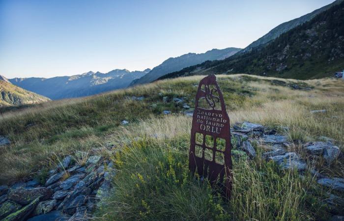 L’étonnante réserve de chasse et de protection d’Orlu, un sanctuaire vivant