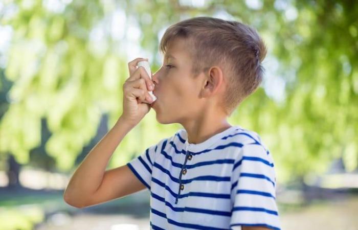 Un médecin spécialiste veut révolutionner le diagnostic de l’asthme et fera du Québec un leader mondial