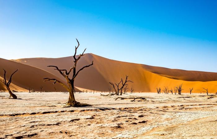 Les microplastiques présents dans l’atmosphère influencent le temps et le climat