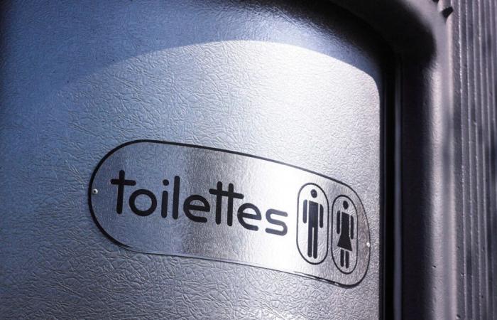 Pour ou contre les toilettes publiques dans la rue ? Le référendum urgent de cette ville de Seine-Saint-Denis