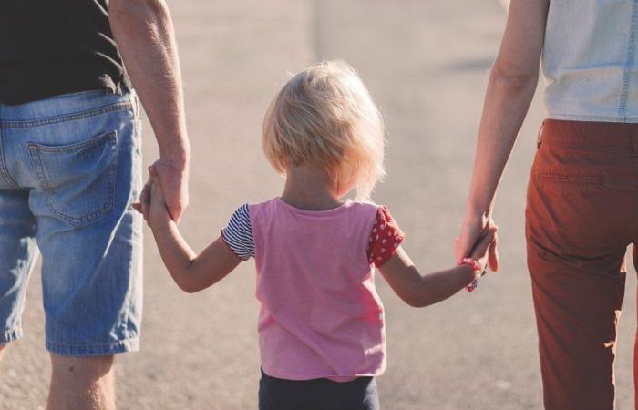 Les députés russes adoptent une loi interdisant la promotion de la vie sans enfant