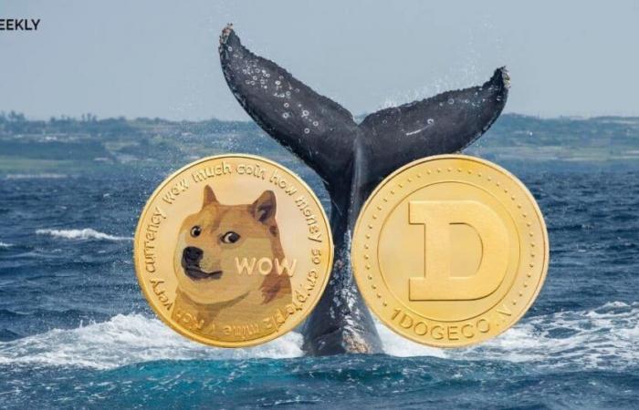 Le retour explosif de Dogecoin : 0,41 $ aujourd’hui, 2,40 $ demain ?