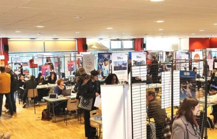 Les entreprises recrutent à Dieppe et en Seine-Maritime, avec des centaines de postes à pourvoir