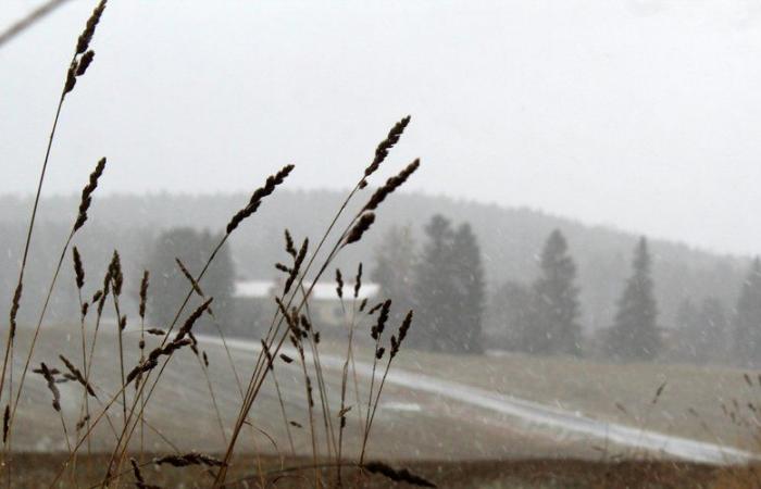 Baisse des températures à Montpellier, orages dans le sud, premières neiges en montagne… quel temps fait-il en ce début de semaine ?