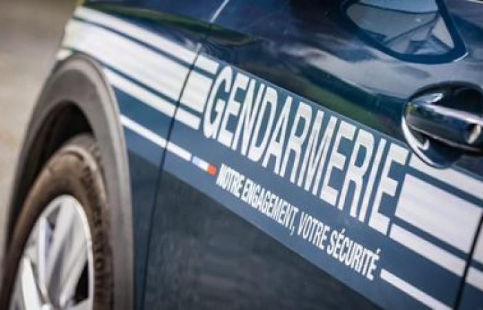 Les corps de trois enfants, âgés de 2 à 13 ans, retrouvés dans une maison en Haute-Savoie