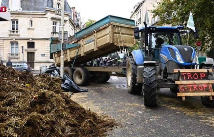 à quoi s’attendre dans les prochains jours en France ?