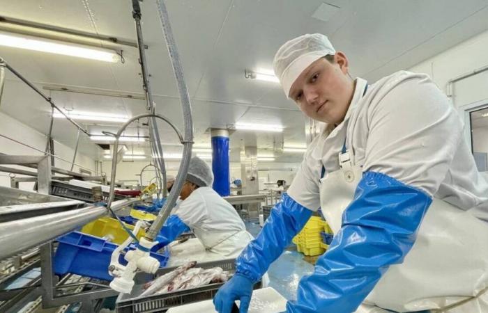 Le meilleur apprenti poissonnier de France travaille dans le Morbihan