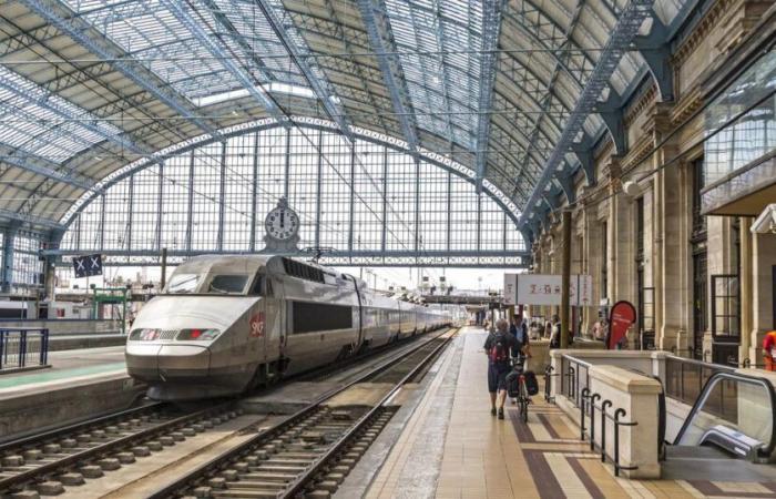 « Comment l’ouverture à la concurrence a accéléré le déclin économique du fret ferroviaire »