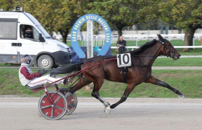 Ginostrabliggi protagoniste du Grand Prix Anact de Turin