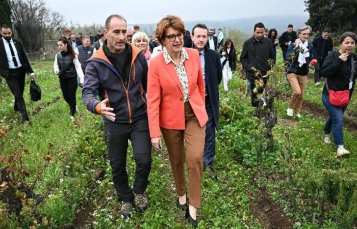 “Il ne doit pas y avoir de violence”, prévient le ministre de l’Agriculture