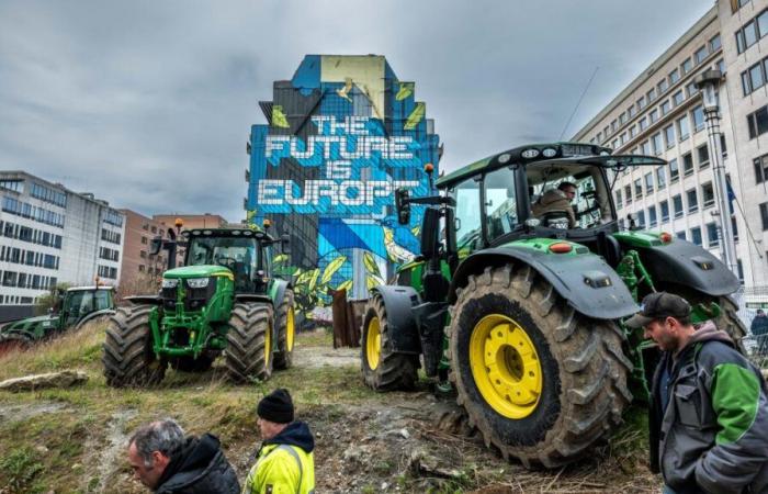 Pourquoi les agriculteurs seront-ils de retour dans les rues de la capitale ce mercredi ?