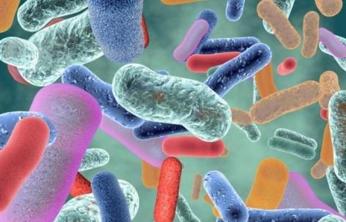 Le microbiome intestinal, une clé pour prédire la polyarthrite rhumatoïde ?