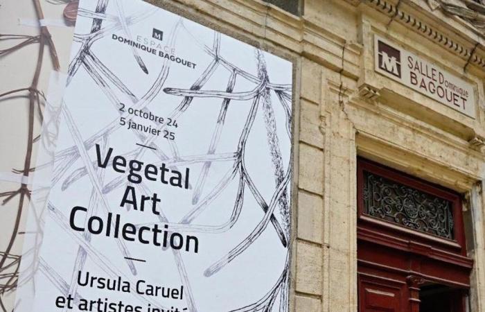 deux rencontres autour de l’exposition « Plant Art Collection ».