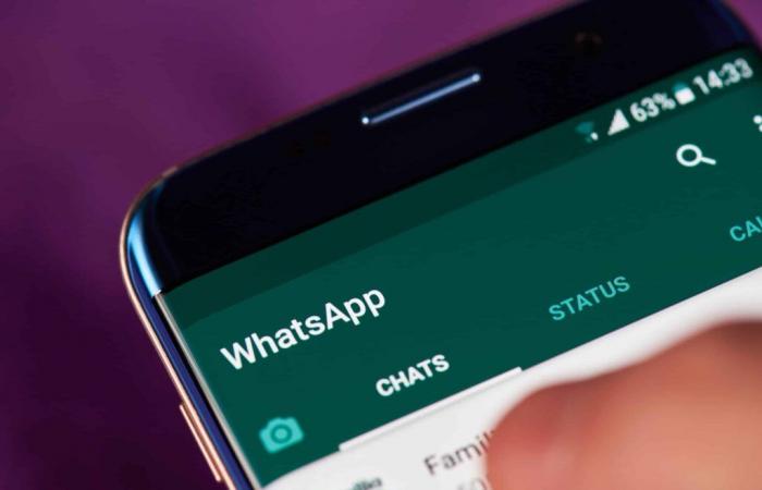 WhatsApp simplifie le partage d’albums avec une mise à jour clé