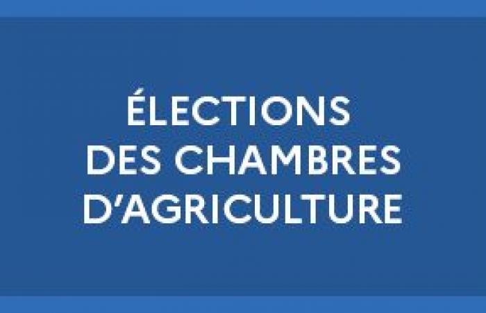 Dépôt des candidatures et des documents de propagande – Actualités – Actualités